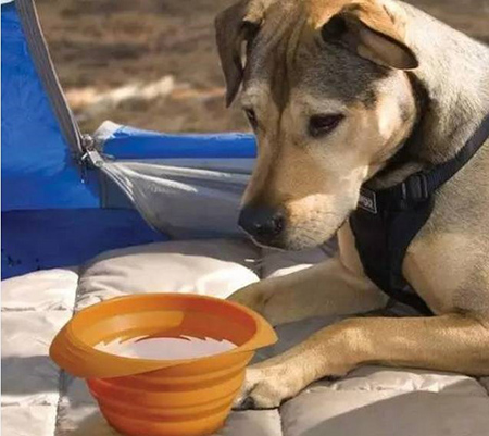 東莞<a href='http://m.daydayshoes.cn/' class='keys' title='點(diǎn)擊查看關(guān)于帝博硅膠制品廠的相關(guān)信息' target='_blank'>帝博硅膠制品廠</a>