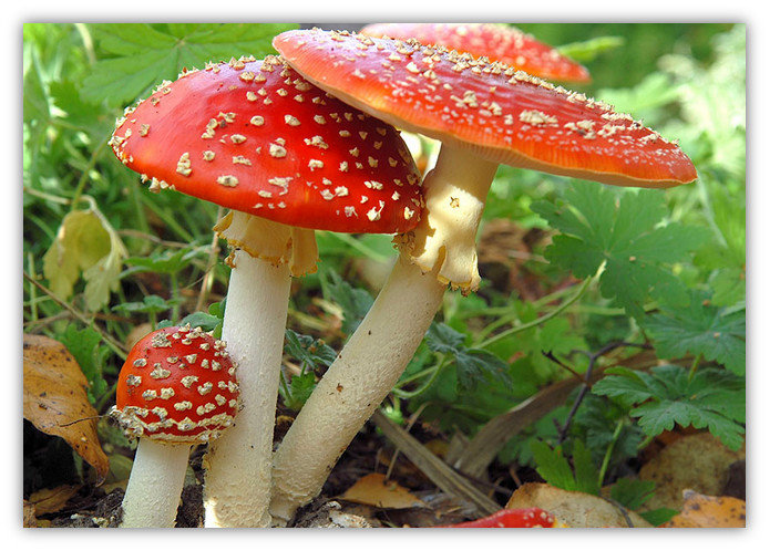 09243r9c.jpg 09243r9c.jpg